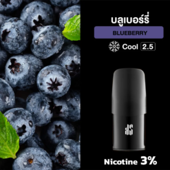กลิ่น-Xense-Blueberry-scaled