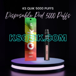 KS Quik 5000 Puffs Guava